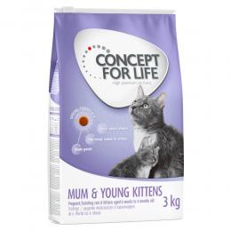 Angebot für Concept for Life Mum & Young Kittens - Verbesserte Rezeptur! - 3 kg - Kategorie Katze / Katzenfutter trocken / Concept for Life / Kittennahrung.  Lieferzeit: 1-2 Tage -  jetzt kaufen.