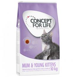 Concept for Life Mum & Young Kittens - Verbesserte Rezeptur! - Sparpaket 2 x 10 kg