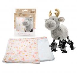 Croci XMAS Set Plushy Hundedecke mit Spielzeug