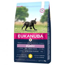 Eukanuba Puppy Large Breed Huhn Hundefutter - 3 kg