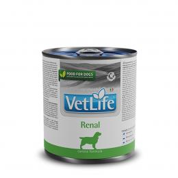 Farmina Vet Life Dog Renal 300g