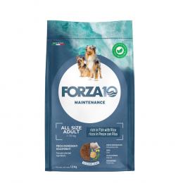 Forza 10 All Breeds Maintenance Fisch & Reis - Sparpaket: 2 x 12 kg