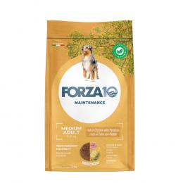 Forza 10 Medium Maintenance Huhn & Kartoffel - Sparpaket: 2 x 12 kg