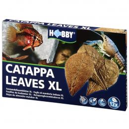 Hobby Catappa Leaves XL 12 Stück