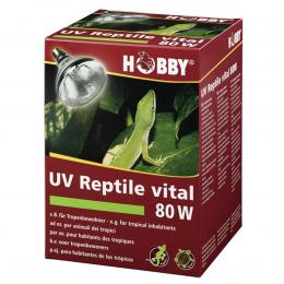 Hobby UV-Reptile vital 80W