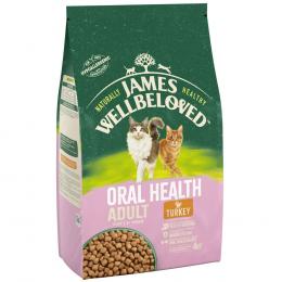 James Wellbeloved Adult Cat Oral Health Truthahn & Reis - 4 kg