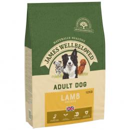 James Wellbeloved Adult Lamm & Reis - Sparpaket: 2 x 12 kg