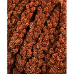 JR Birds Kolbenhirse rot, 500 g (11,98 € pro 1 kg)