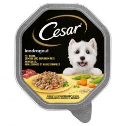 Megapack Cesar Schale 14 x 150 g - Landragout mit Huhn, Gemüse und braunem Reis