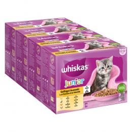 Angebot für Megapack Whiskas Junior Frischebeutel 48 x 85 g - Geflügelauswahl in Gelee - Kategorie Katze / Katzenfutter nass / Whiskas / Whiskas Junior.  Lieferzeit: 1-2 Tage -  jetzt kaufen.