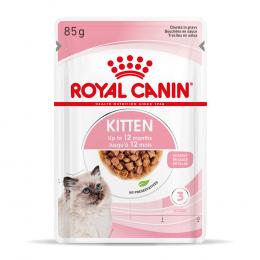 Royal Canin Kitten in Soße - Sparpaket: 24 x 85 g