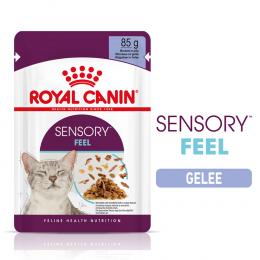 Royal Canin Sensory Feel in Gelee - Sparpaket: 24 x 85 g