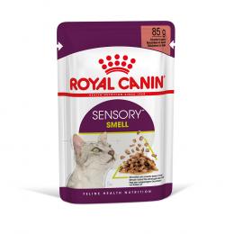Angebot für Royal Canin Sensory Smell in Soße - Sparpaket: 24 x 85 g - Kategorie Katze / Katzenfutter nass / Royal Canin / Royal Canin Adult Spezialfutter.  Lieferzeit: 1-2 Tage -  jetzt kaufen.