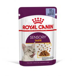 Royal Canin Sensory Taste in Gelee - Sparpaket: 24 x 85 g