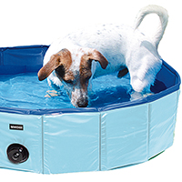 Schecker Doggy-Pool