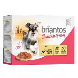 Sparpaket Briantos Chunks in Gravy 48 x 100 g - Huhn & Karotten