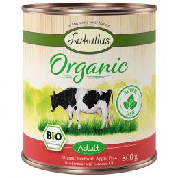 Angebot für Sparpaket Lukullus Organic 12 x 800 g Adult Rind mit Apfel (glutenfrei) - Kategorie Hund / Hundefutter nass / Lukullus Naturkost / Lukullus Sparpakete.  Lieferzeit: 1-2 Tage -  jetzt kaufen.