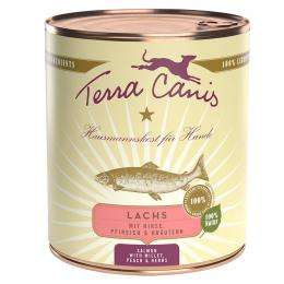 Sparpaket Terra Canis 12 x 800 g - Lachs mit Hirse, Pfirsich und Kräutern