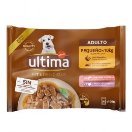 Angebot für Ultima Fit & Delicious Mini Hund Adult 44 x 100 g - Lachs & Truthahn - Kategorie Hund / Hundefutter nass / Ultima / -.  Lieferzeit: 1-2 Tage -  jetzt kaufen.