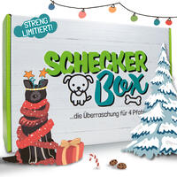 Weihnachts-Box