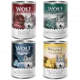 Wolf of Wilderness Adult - 