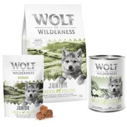 Wolf of Wilderness Junior Probierpaket - 3-er Set Lamm: Trockenfutter, Nassfutter, Snacks